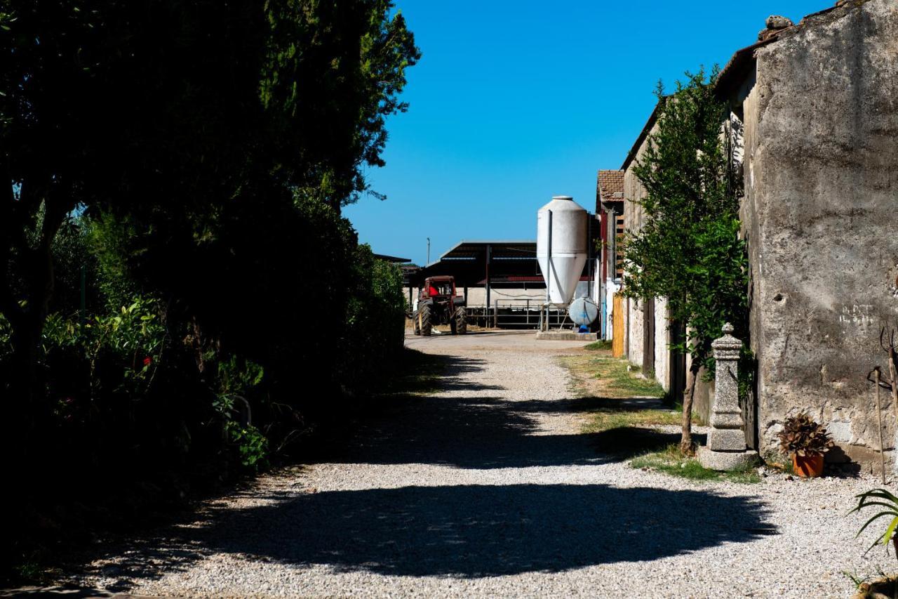 Dimora Iannelli - B&B Rurale Paestum Exteriör bild
